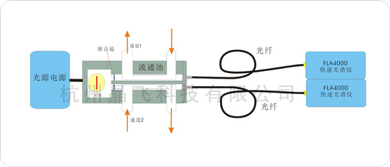 多通道多波长在线实时测试方案示意图(图1)